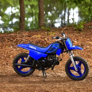 Yamaha /PW50 /1990-2024